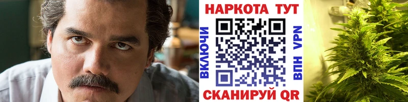 Купить наркотики Гусев A PVP  МЕФ  COCAIN  МЕТАМФЕТАМИН  МАРИХУАНА  ГАШИШ  Амфетамин 