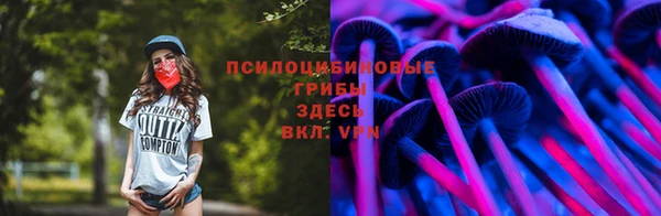 СК Верхний Тагил