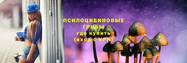 амф Бронницы