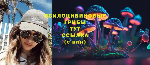 амф Бронницы
