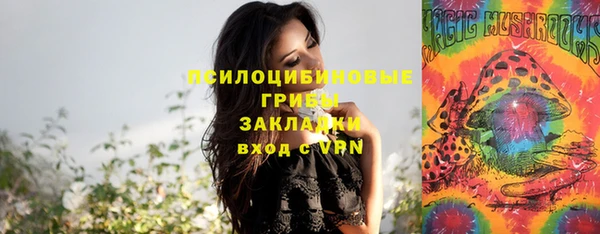прущая мука Бородино