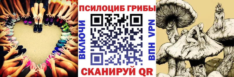 маркетплейс состав  Гусев  Галлюциногенные грибы мицелий  MEGA вход 