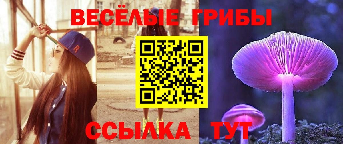 Псилоцибиновые грибы мицелий Гусев